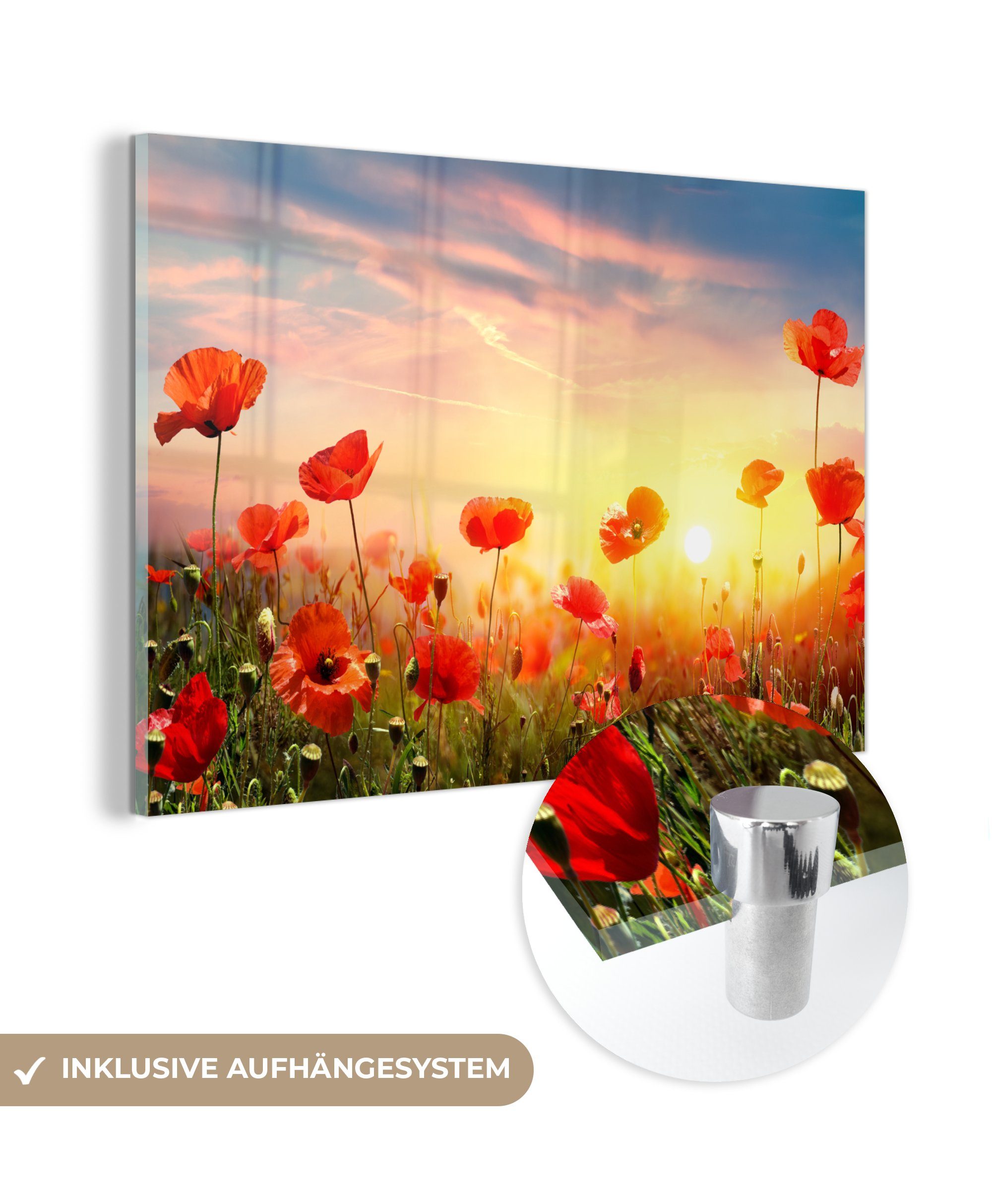 MuchoWow Acrylglasbild Mohnblumen - Frühling - Farben, (1 St), Acrylglasbilder Wohnzimmer & Schlafzimmer