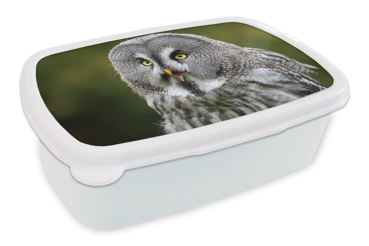 MuchoWow Vogel Jungs und weiß Brotbox - Erwachsene, Mädchen (2-tlg), Kunststoff, Kinder und - Lunchbox Brotdose, für Grau, Eule für