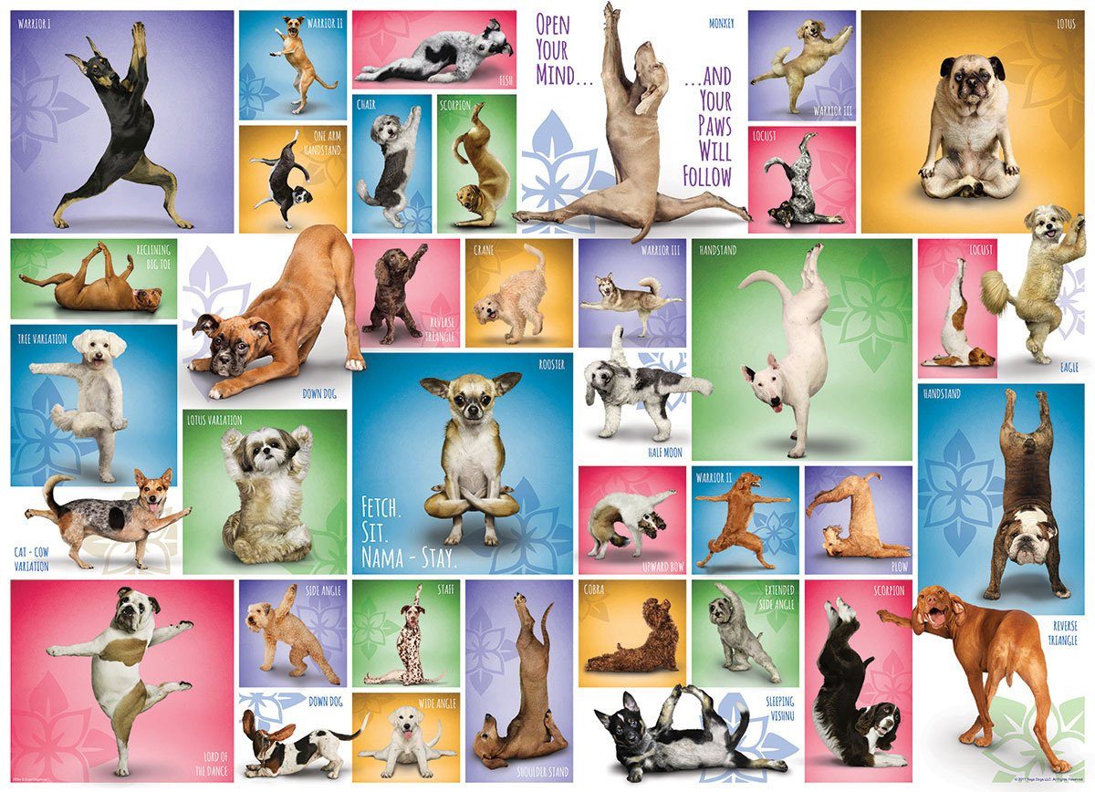 Puzzleteile cm, Yoga - 68x48 1000 Hunde empireposter im Puzzle Teile Format Puzzle
