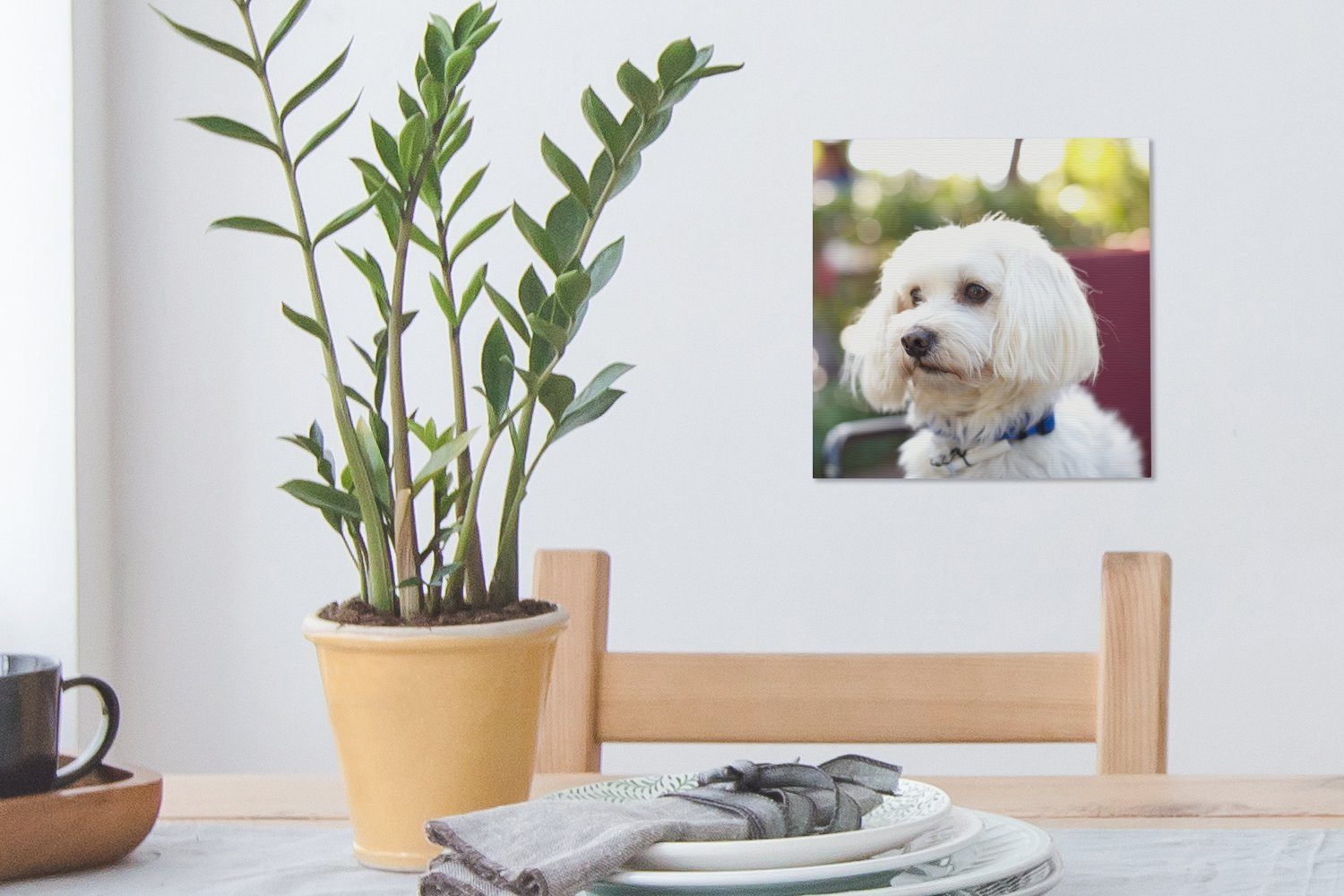 für OneMillionCanvasses® Schlafzimmer (1 Leinwandbild Bilder Hund, Wohnzimmer St), Malteser Niedlicher Leinwand