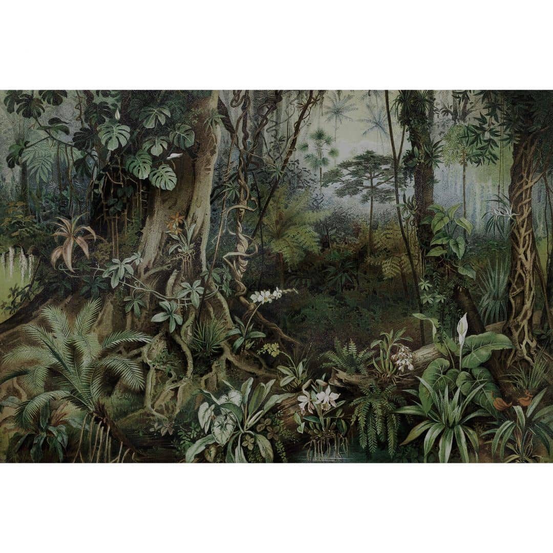 KUNSTLOFT living by Patel, Tapete Regenwald Fototapete Fototapete x Jungle walls Pflanzen 2.7m jungle Vliestapete Retro XXL 4m Große