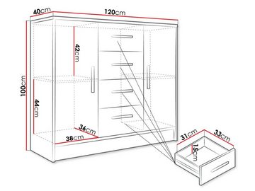 MIRJAN24 Kommode Tokyo 120 (mit zwei Drehtüren und vier Schubladen), 120x40x100 cm