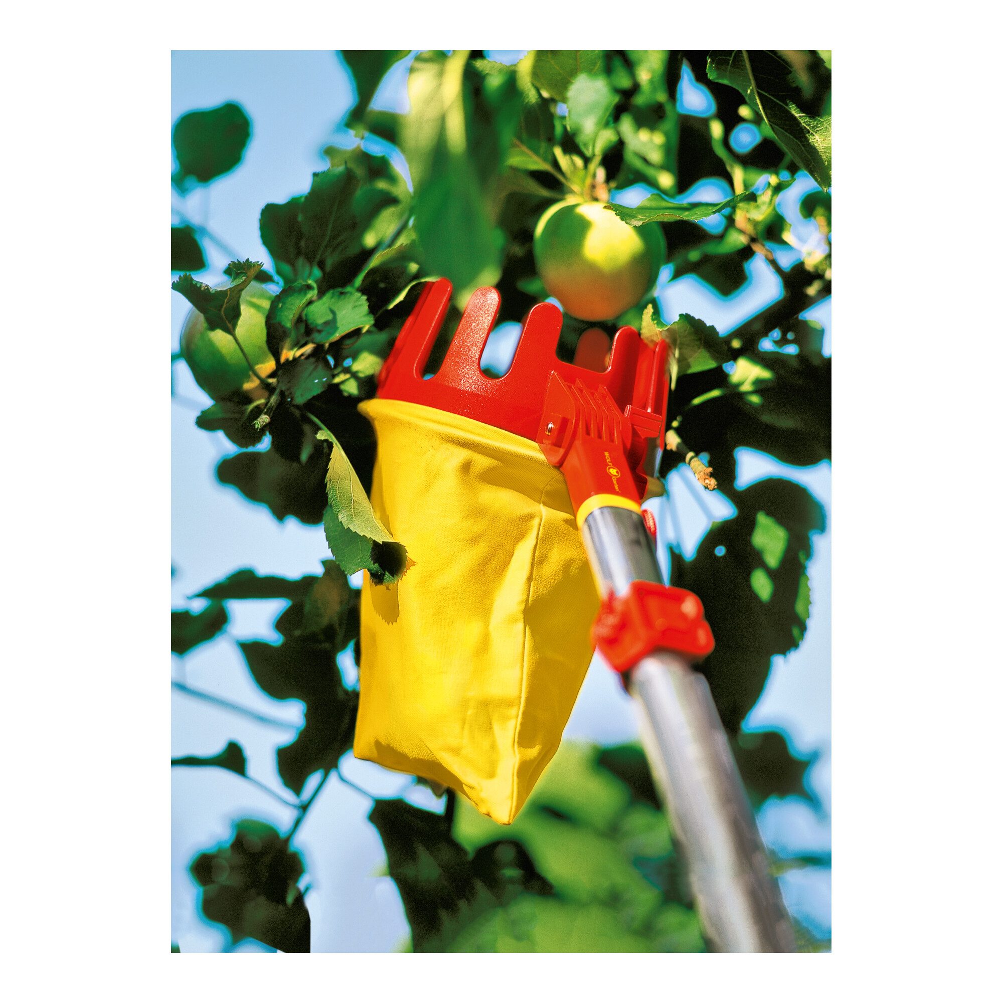WOLF-Garten Obstpflücker WOLF-Garten multi-star® Obstpflücker RG-M
