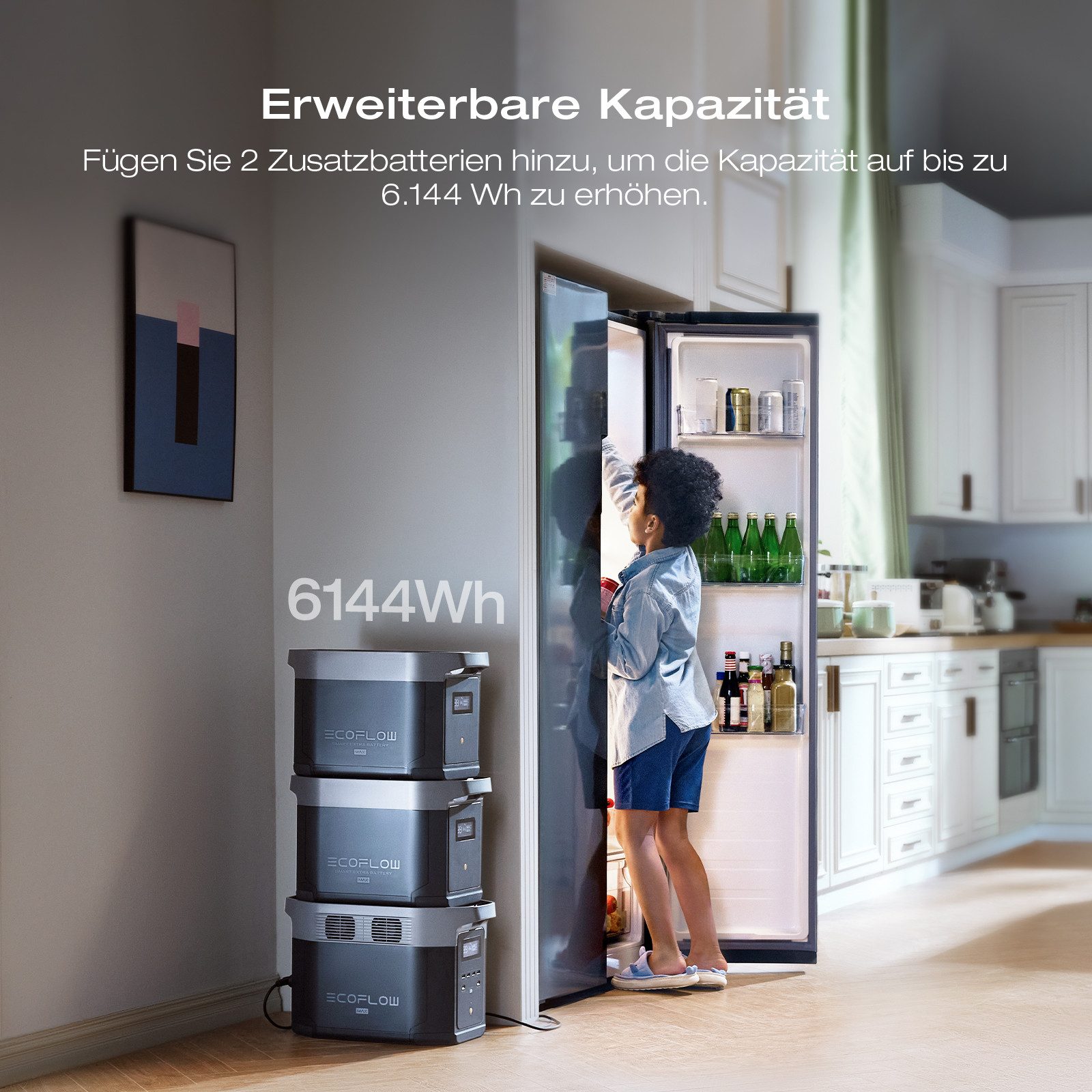 Ecoflow EcoFlow DELTA 2 Max Powerstation 2048Wh, 3000 W Solar Generator Powerstation EcoFlow DELTA 2 Max, LFP Akku 3000 Zyklen, 80% Ladung <1 Std