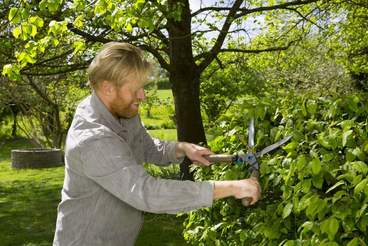 GARDENA Heckenschere Gardena Heckenschere NatureCut günstig online kaufen