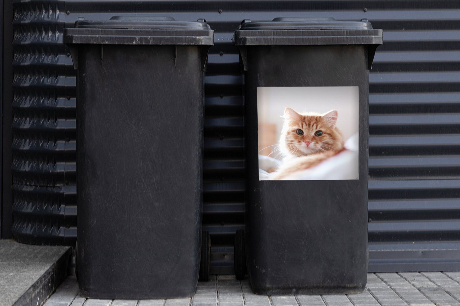 MuchoWow Wandsticker Katze - Rot - Mädchen St), Mülleimer-aufkleber, - Jungen Sticker, Container, Bett - - (1 Kinder Abfalbehälter Mülltonne
