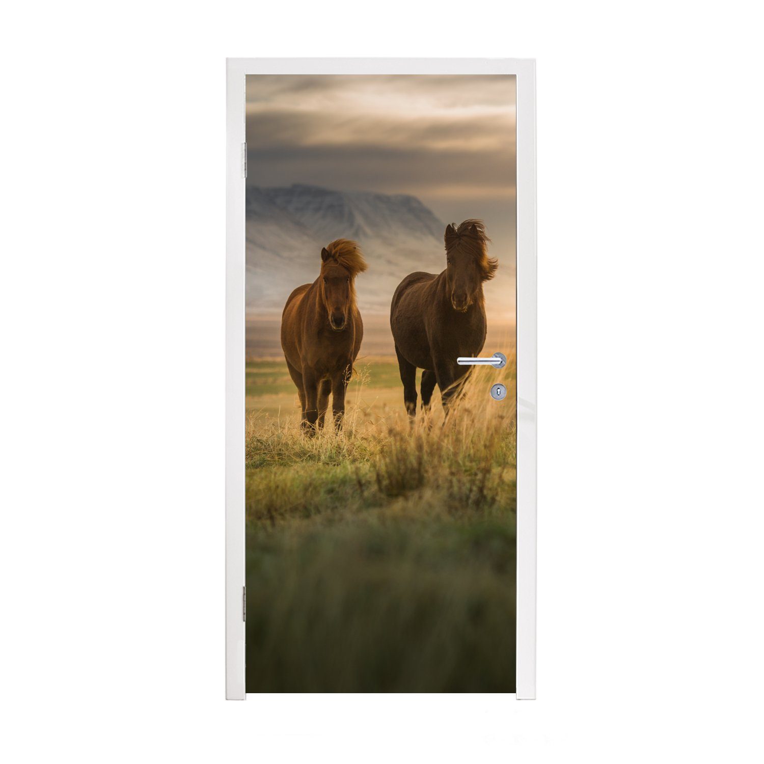 MuchoWow Türtapete Pferde - Luft - Gras, Matt, bedruckt, (1 St), Fototapete für Tür, Türaufkleber, 75x205 cm