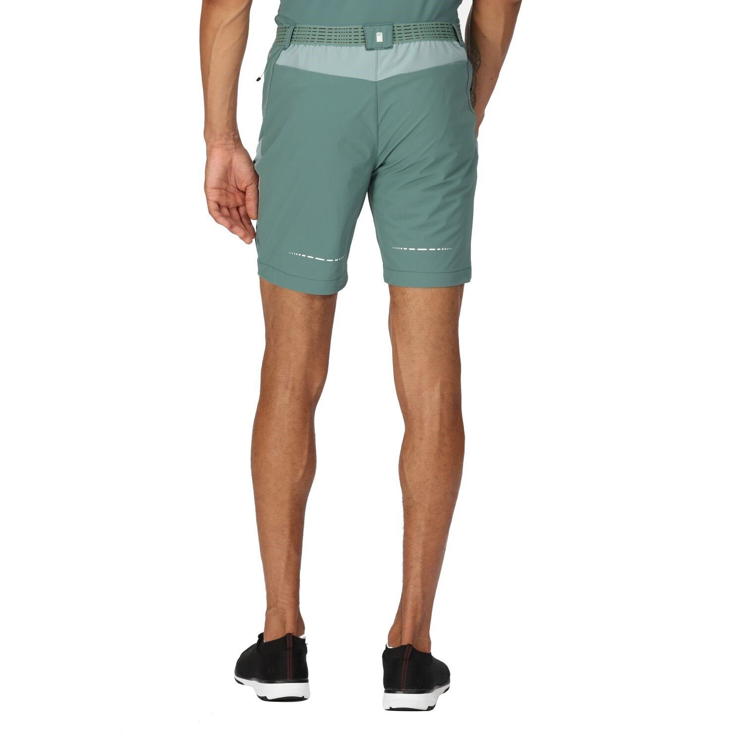 Regatta Shorts Mountain Shorts II Wanderhose günstig online kaufen
