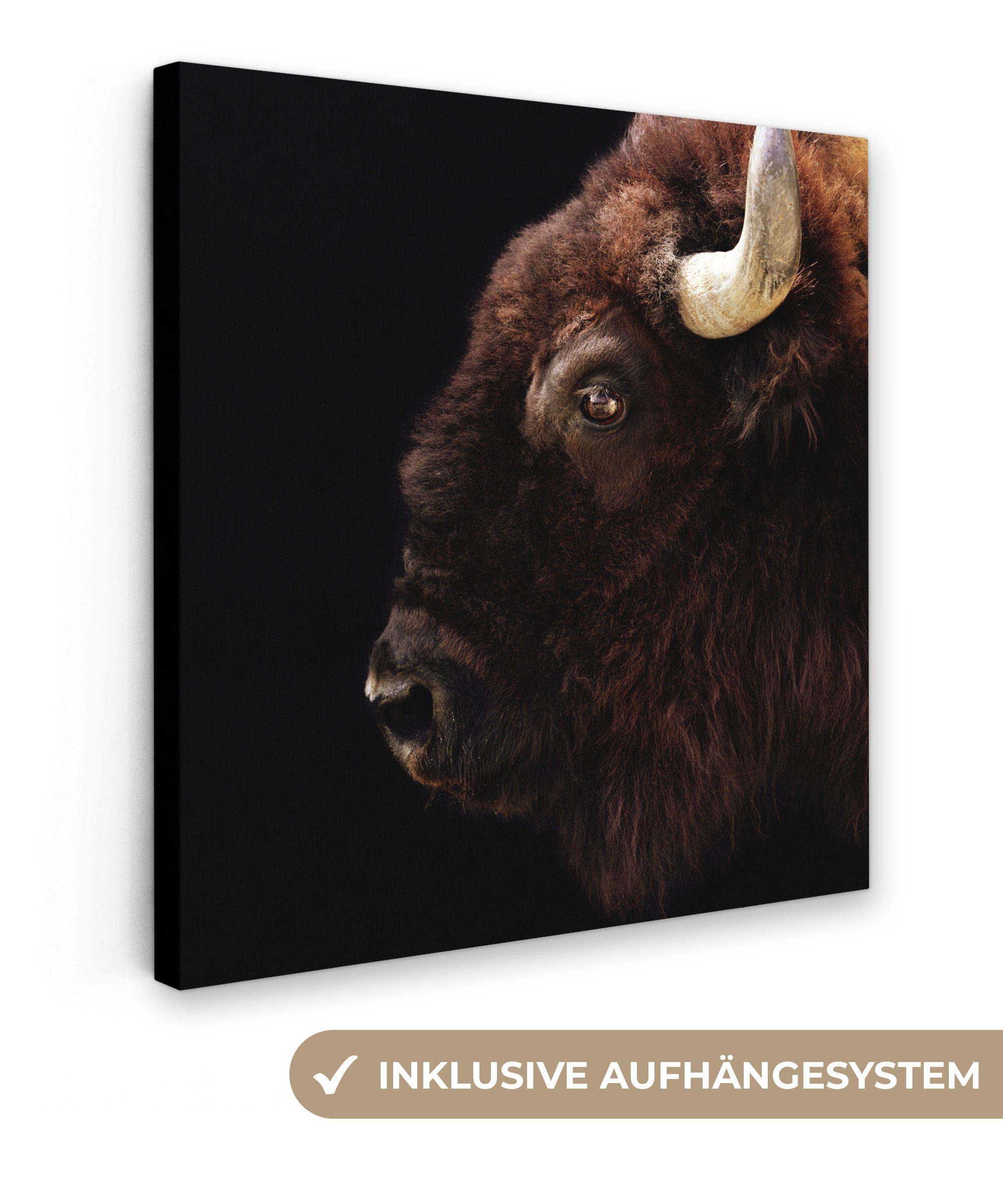 OneMillionCanvasses® Leinwandbild Bison - Horn - Porträt, (1 St), Leinwand Bilder für Wohnzimmer Schlafzimmer, 20x20 cm