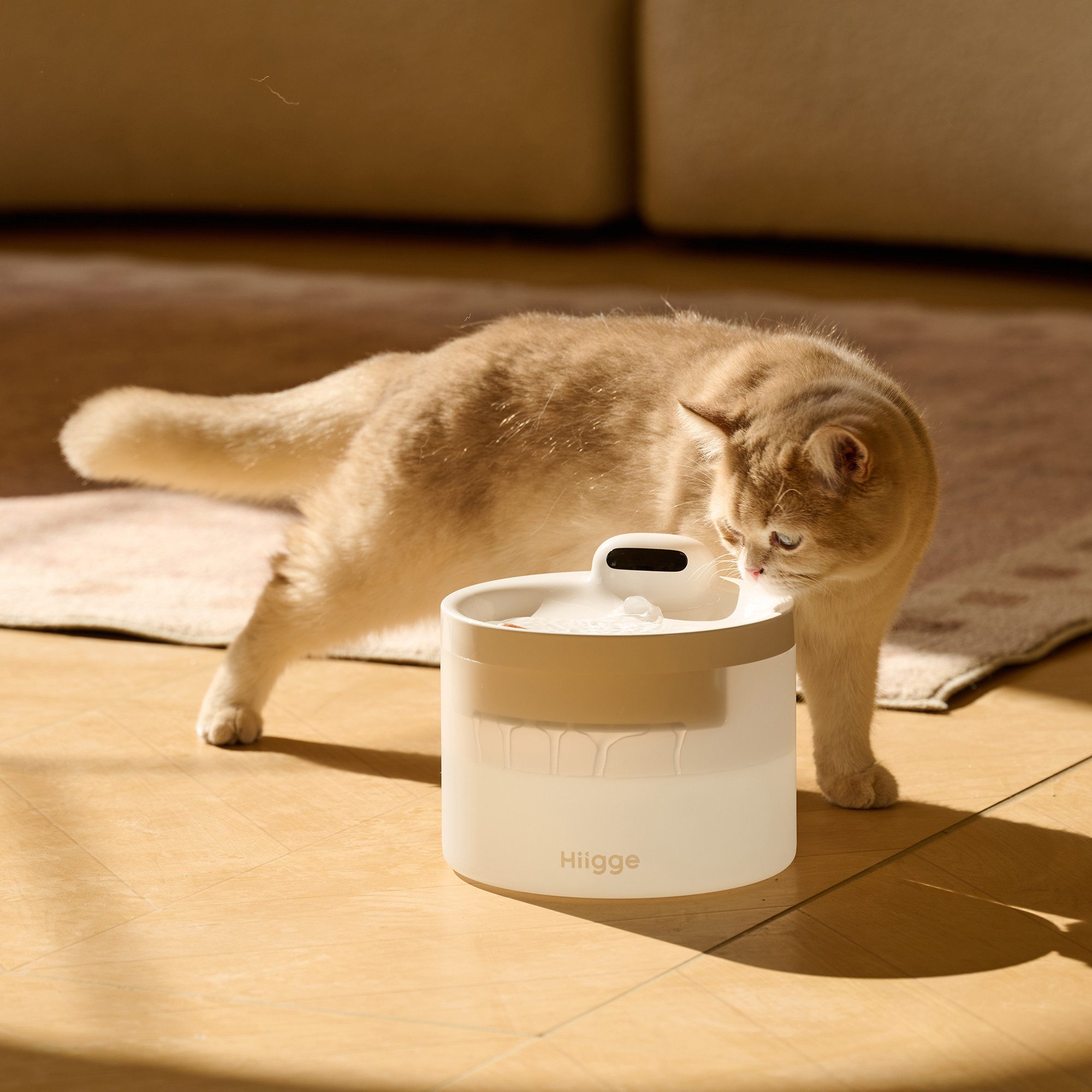 Hiigge Trinkbrunnen Snowball SE für katze günstig online kaufen