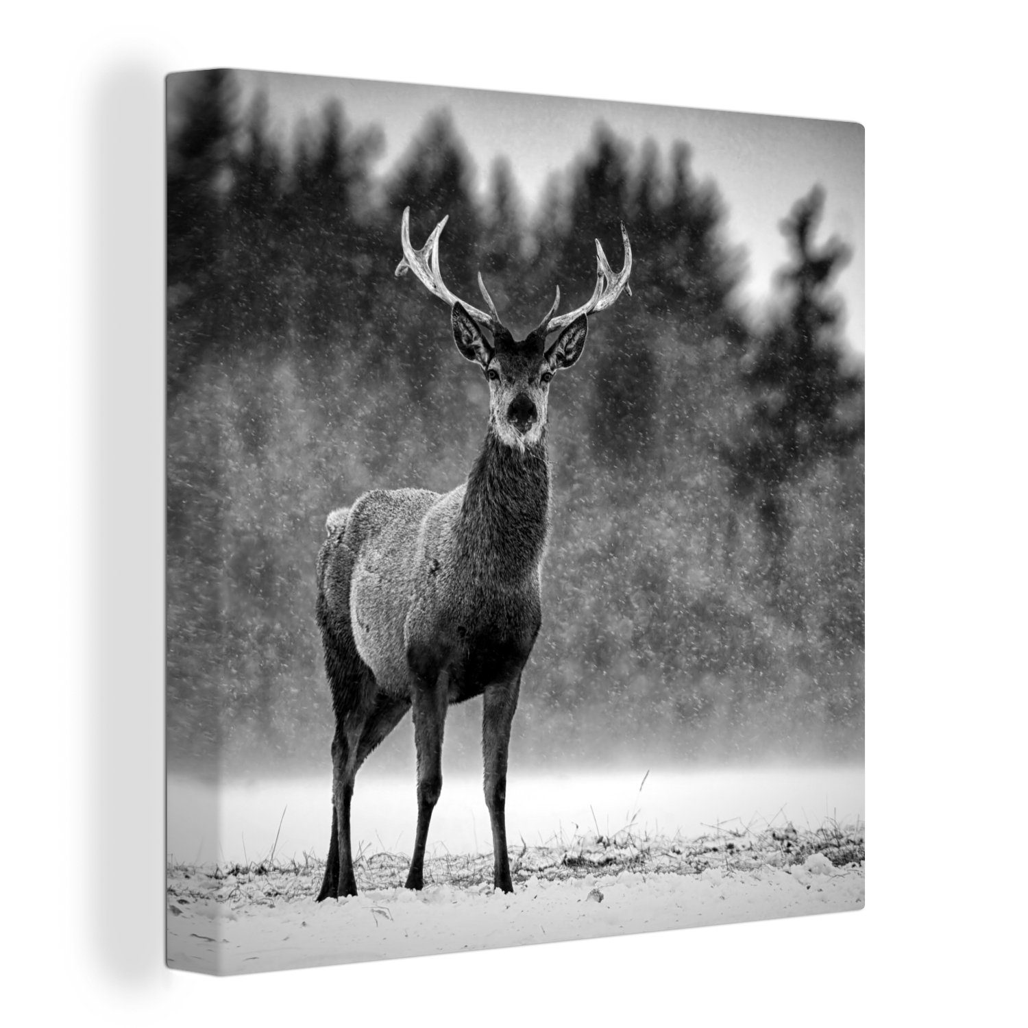 OneMillionCanvasses® Leinwandbild Tiere - Hirsche - Winter - Schwarz - Weiß, (1 St), Leinwand Bilder für Wohnzimmer Schlafzimmer | Leinwandbilder