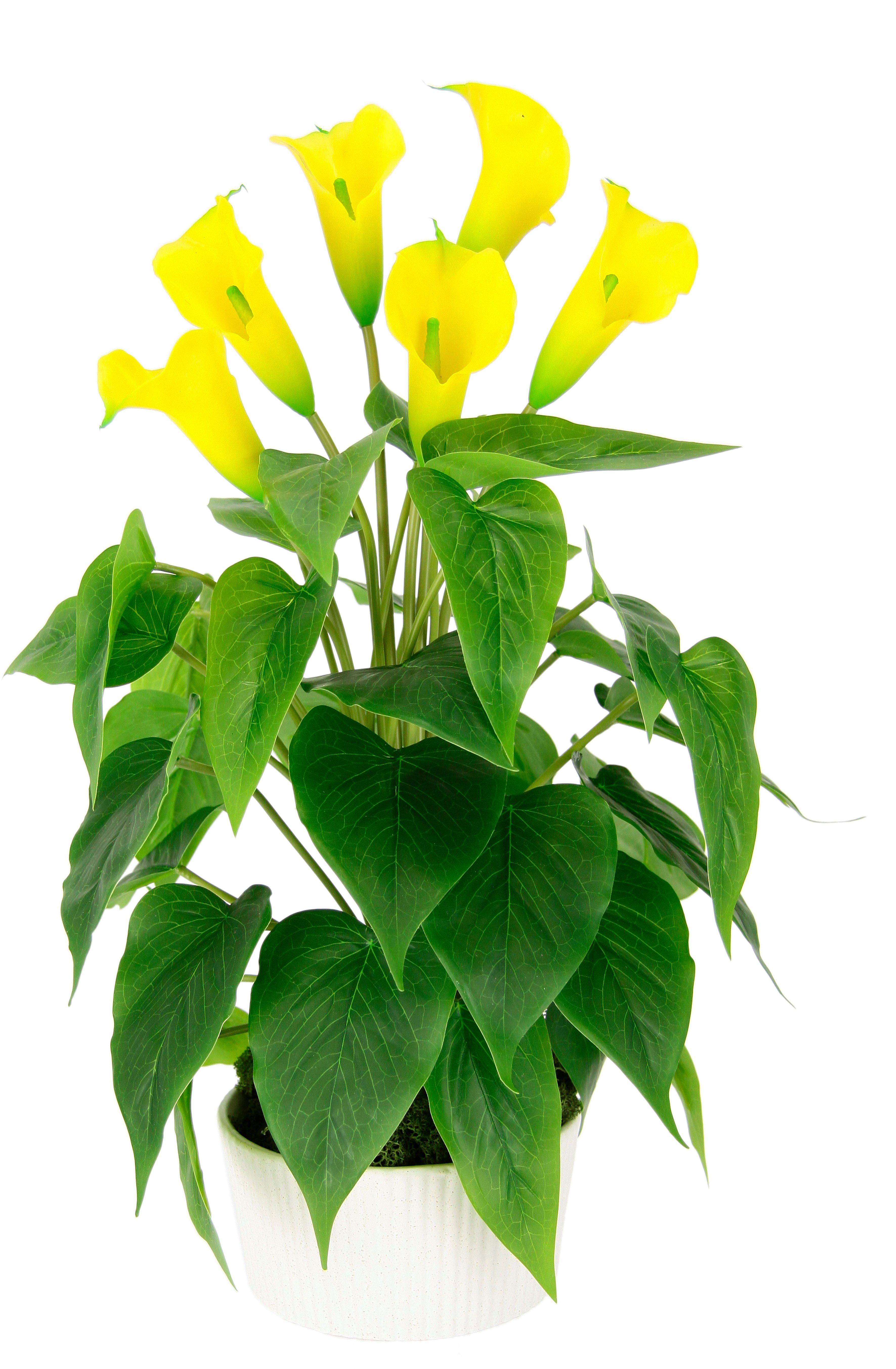 Kunstblume Calla, I.GE.A., Höhe 45 cm, günstig online kaufen