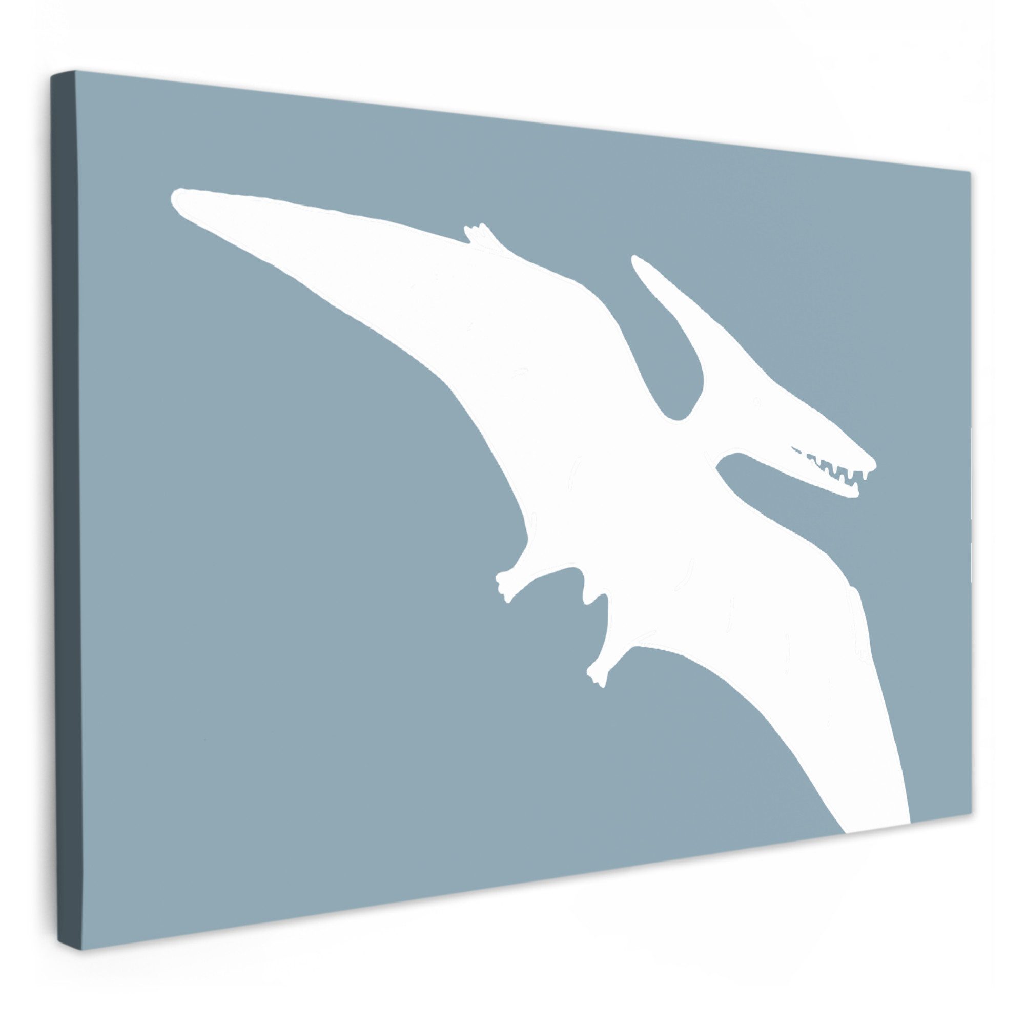 OneMillionCanvasses® Leinwandbild Dino - Pteranodon - günstig online kaufen