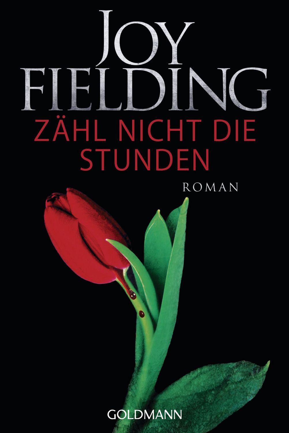 Zähl nicht die Stunden / Joy Fielding