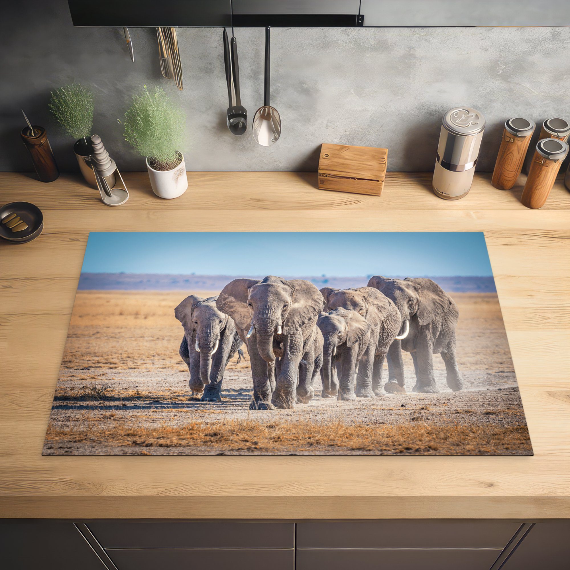 - Ceranfeldabdeckung Herdblende-/Abdeckplatte - Elefant Schutz cm, für Sand (1 81x52 Afrika, die Vinyl, küche, tlg), Induktionskochfeld MuchoWow