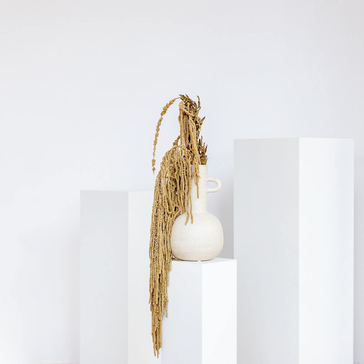 Trockenblume Amaranthus Stiele, LYKKE & You günstig online kaufen