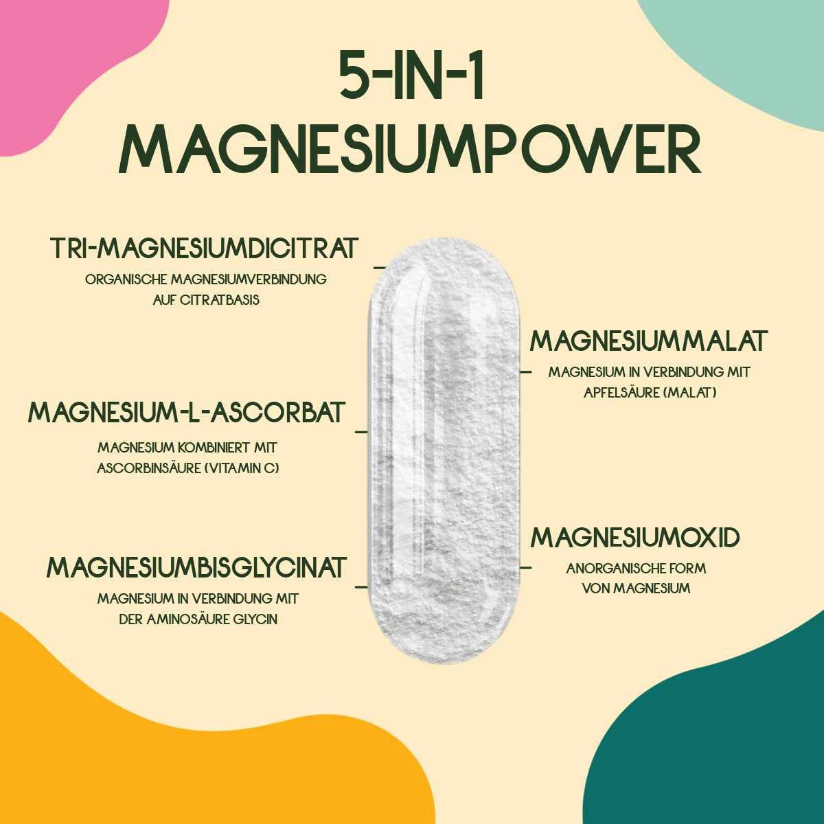 WURZELLIEBE Magnesium Komplex - 400mg elementares Magnesium Kapseln, 180 St., 148 g, 5 hochwertige Magnesiumformen