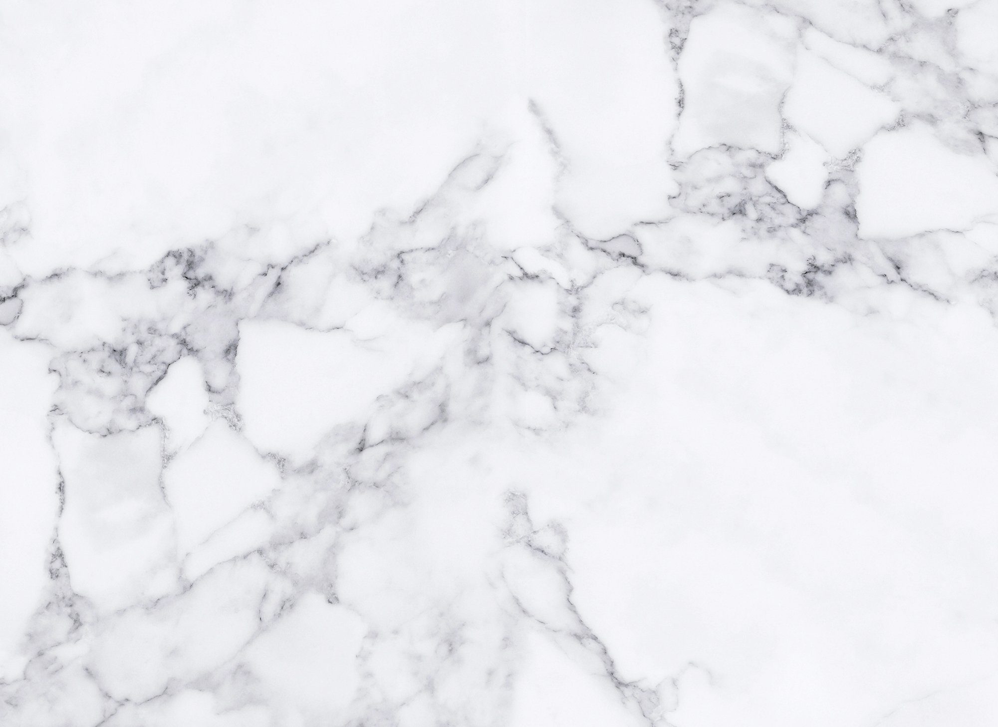 living walls Fototapete Designwalls White Marble günstig online kaufen