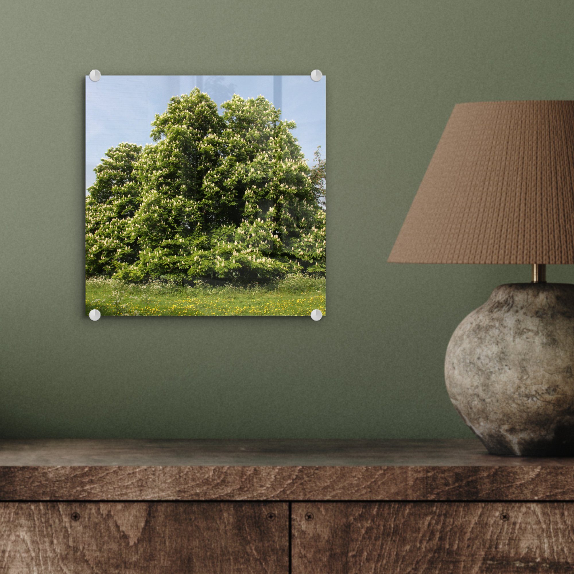 MuchoWow Acrylglasbild Ein Kastanienbaum im Wanddekoration auf - auf St), Foto - Wandbild (1 Glas Bilder in Glasbilder Frühling England, - Glas