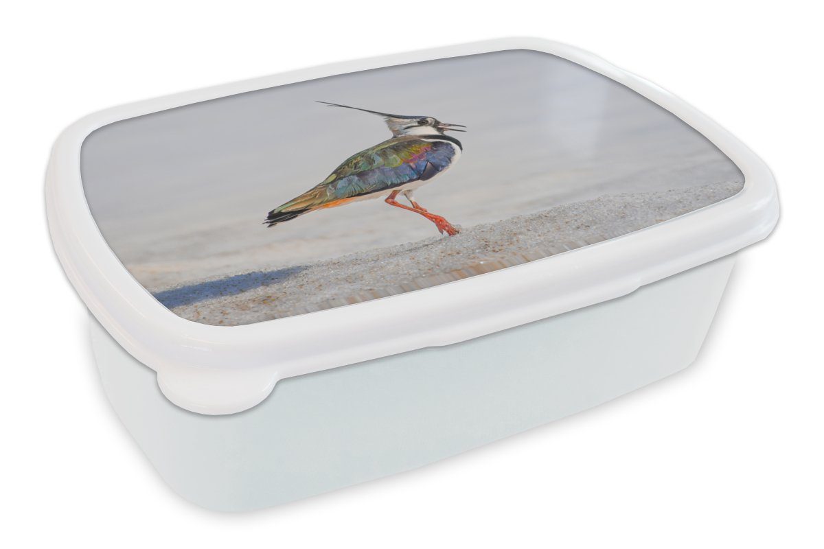 MuchoWow Lunchbox Vogel - Tiere - Sand - Kiebitz, Kunststoff, (2-tlg), Brotbox für Kinder und Erwachsene, Brotdose, für Jungs und Mädchen weiß