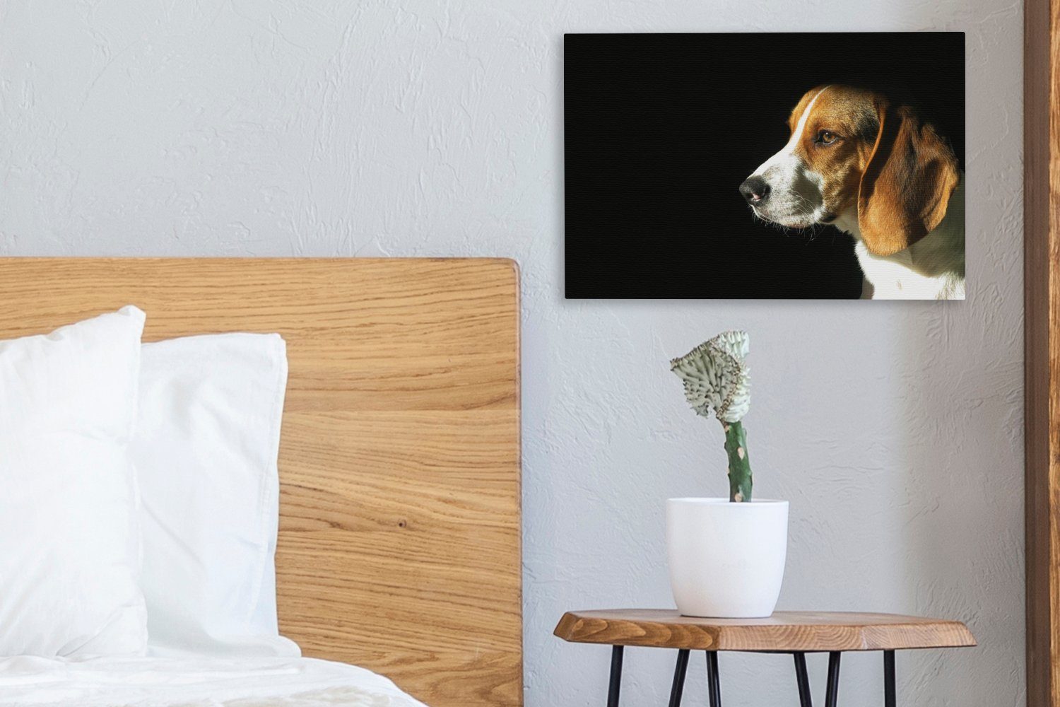 St), Aufhängefertig, Leinwandbild 30x20 die Ein Wanddeko, Leinwandbilder, cm Wandbild Beagle genießt OneMillionCanvasses® Sonne, (1