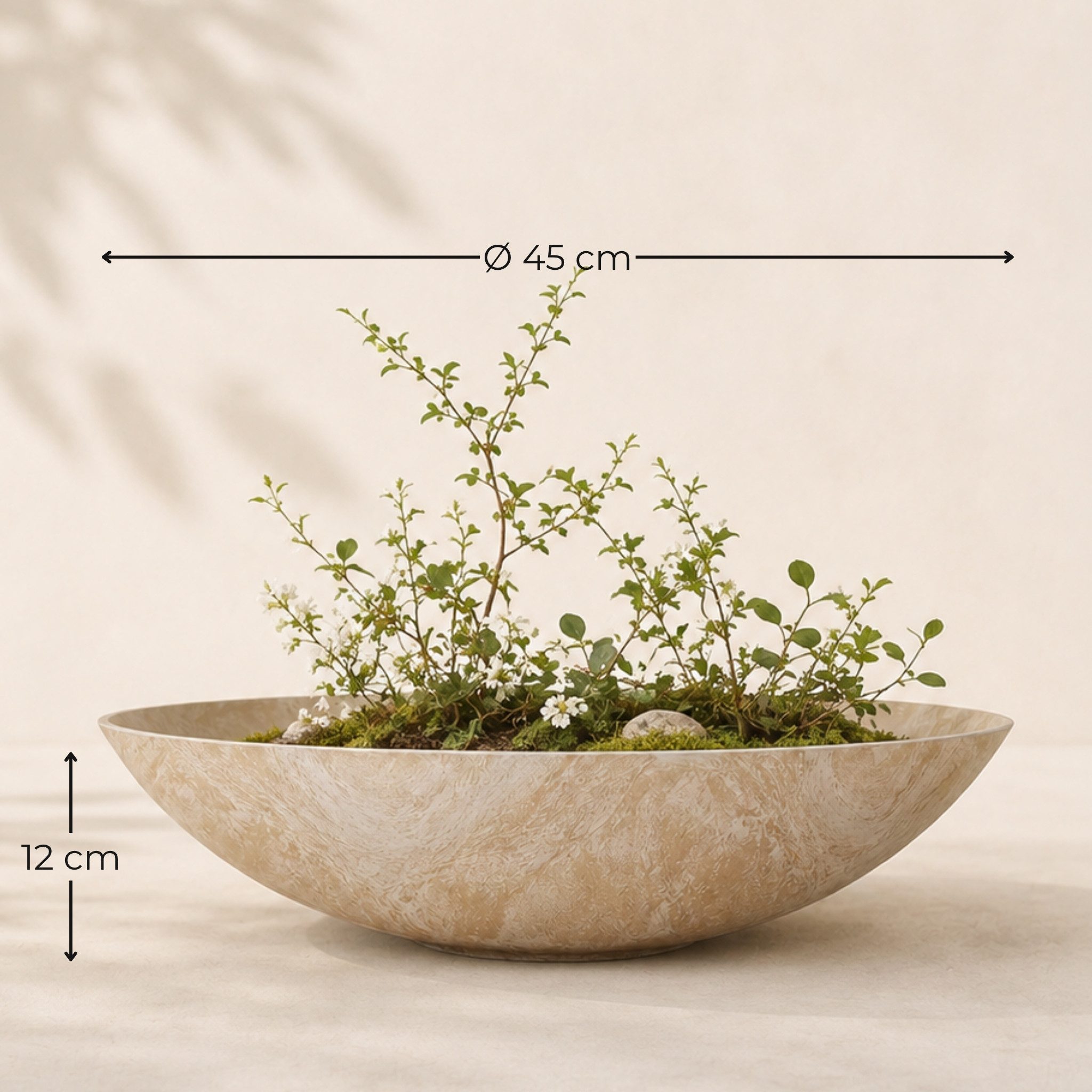 matches21 HOME & HOBBY Blumentopf Flache Pflanzschale für draussen Dekoschale rund beige sand 45 cm (1 St), Blumen-Schale als wetterfeste Friedhof-Schale Grab-S – Bild 2 von 5