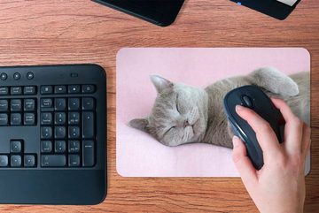 MuchoWow Mauspad Graue Katze schläft auf rosa Teppich (1-St), Gaming, Mousepad, Büro, 27x18 cm, Mausunterlage