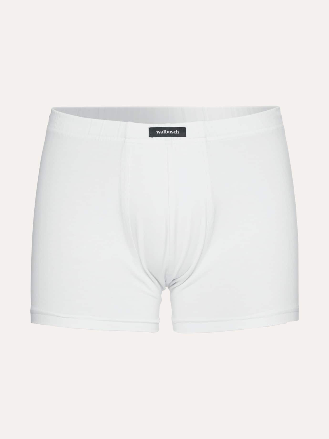 Walbusch Panty Herren Unterwäsche 5er Pack Baumwoll Pants mit softem Gummibund Atmungsaktive, elastische Unterhosen 95% Baumwolle, pflegeleicht – Bild 4 von 4