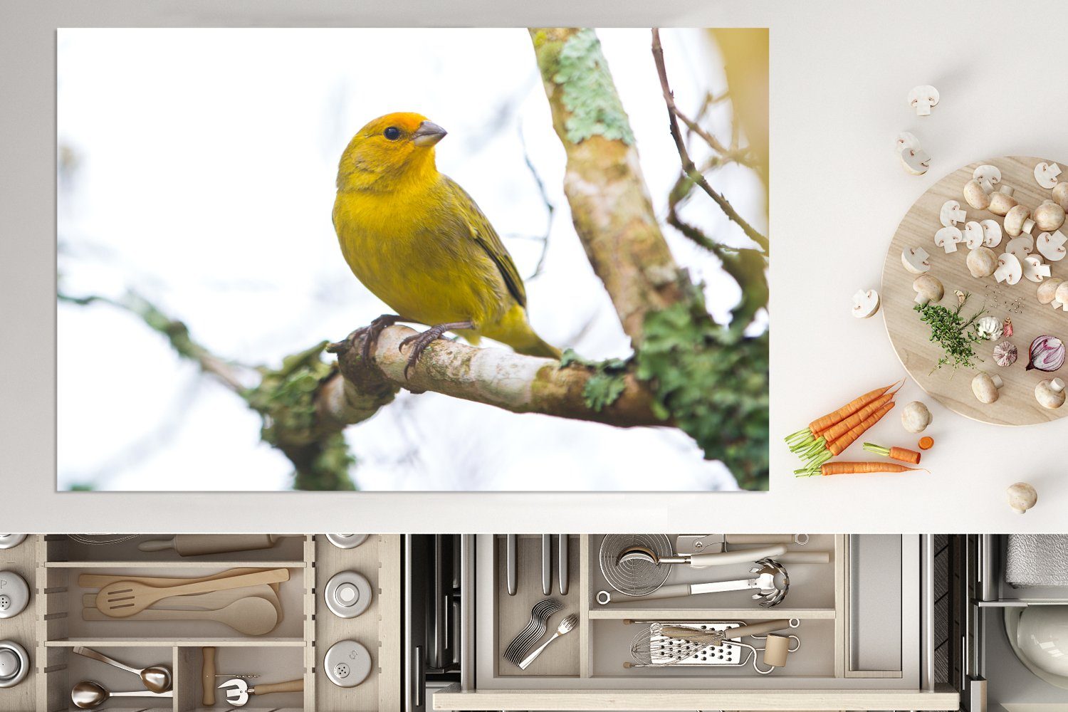 für MuchoWow Induktionskochfeld cm, Geäst, küche, Vinyl, herbstlichen im tlg), Kanarienvogel die Gelber 81x52 Herdblende-/Abdeckplatte Schutz (1 Ceranfeldabdeckung