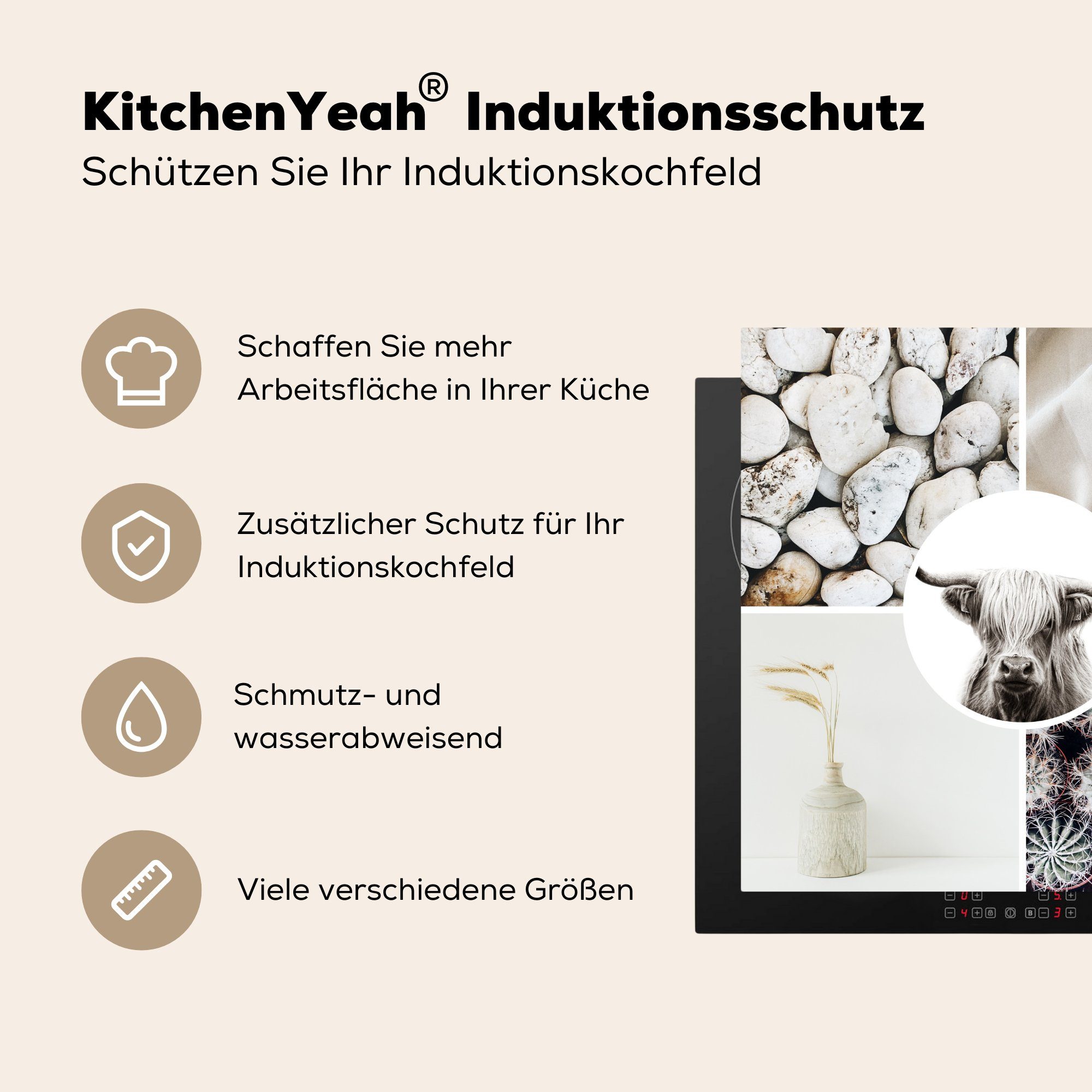 küche Schottischer - Highlander Arbeitsplatte Herdblende-/Abdeckplatte Kaktus - Weiß, Vinyl, für Ceranfeldabdeckung, Steine 78x78 MuchoWow tlg), - cm, (1