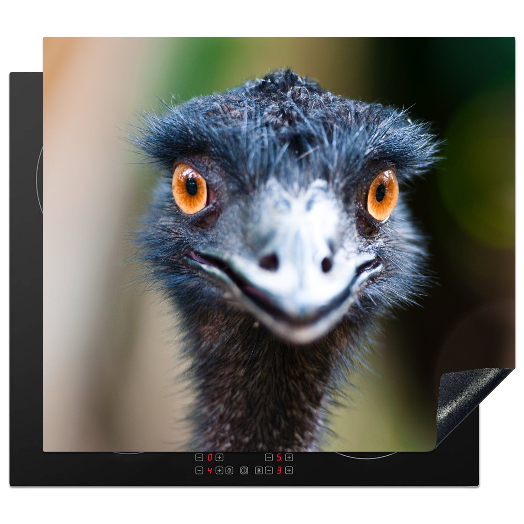 MuchoWow Herdblende-/Abdeckplatte Nahaufnahme des Kopfes eines schwarzen Emus, Vinyl, (1 tlg), 60x52 cm, Mobile Arbeitsfläche nutzbar, Ceranfeldabdeckung | Herdabdeckplatten