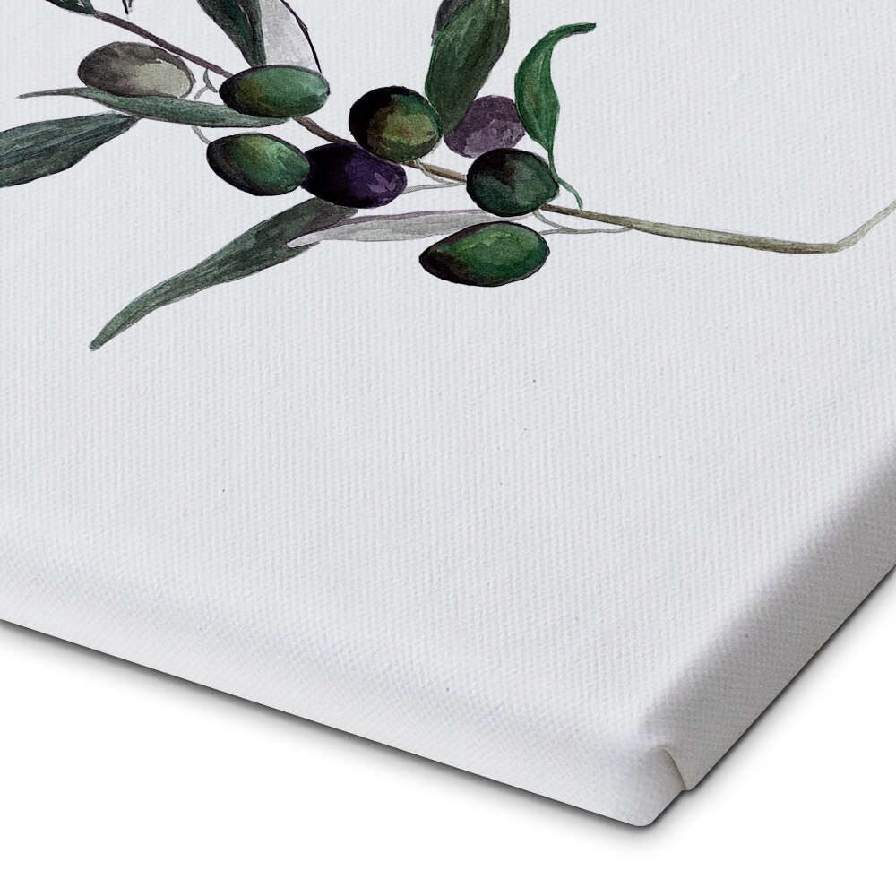 Posterlounge Wandbild Olive, Mantika Studio, erhältlich als Poster, Leinwandbild, Wandsticker oder Acrylglasbild