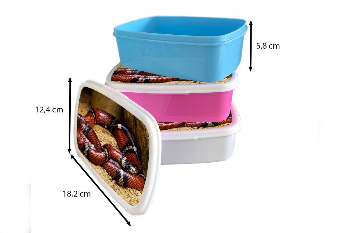 MuchoWow Lunchbox Schlange - - Brotdose Kinder, Snackbox, Sand für Kunststoff Kunststoff, Mädchen, Rot, rosa (2-tlg), Erwachsene, Brotbox