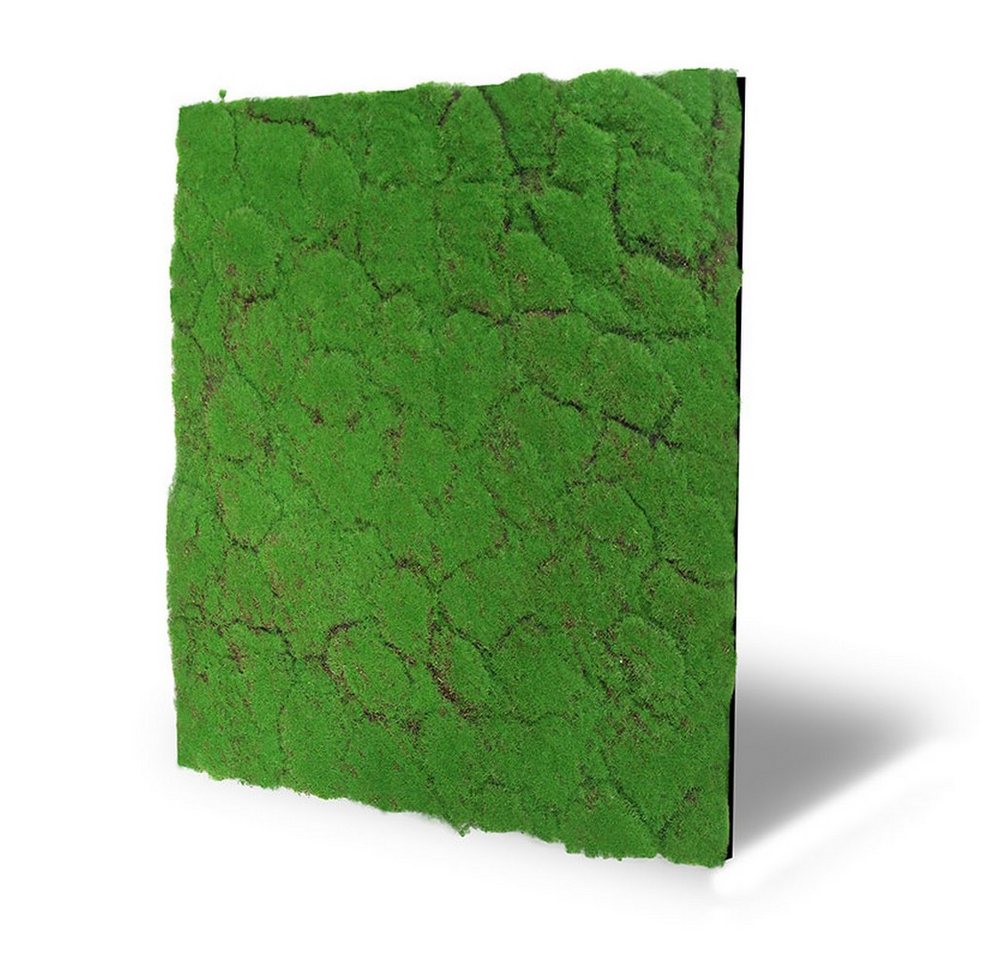 Thumbnail - JANGAL 3D Wandpaneel Modular Wall Akustikpaneel, Die Holz- und Steinoberflächen sind aus Echtholz- und Echtsteinfurnier
