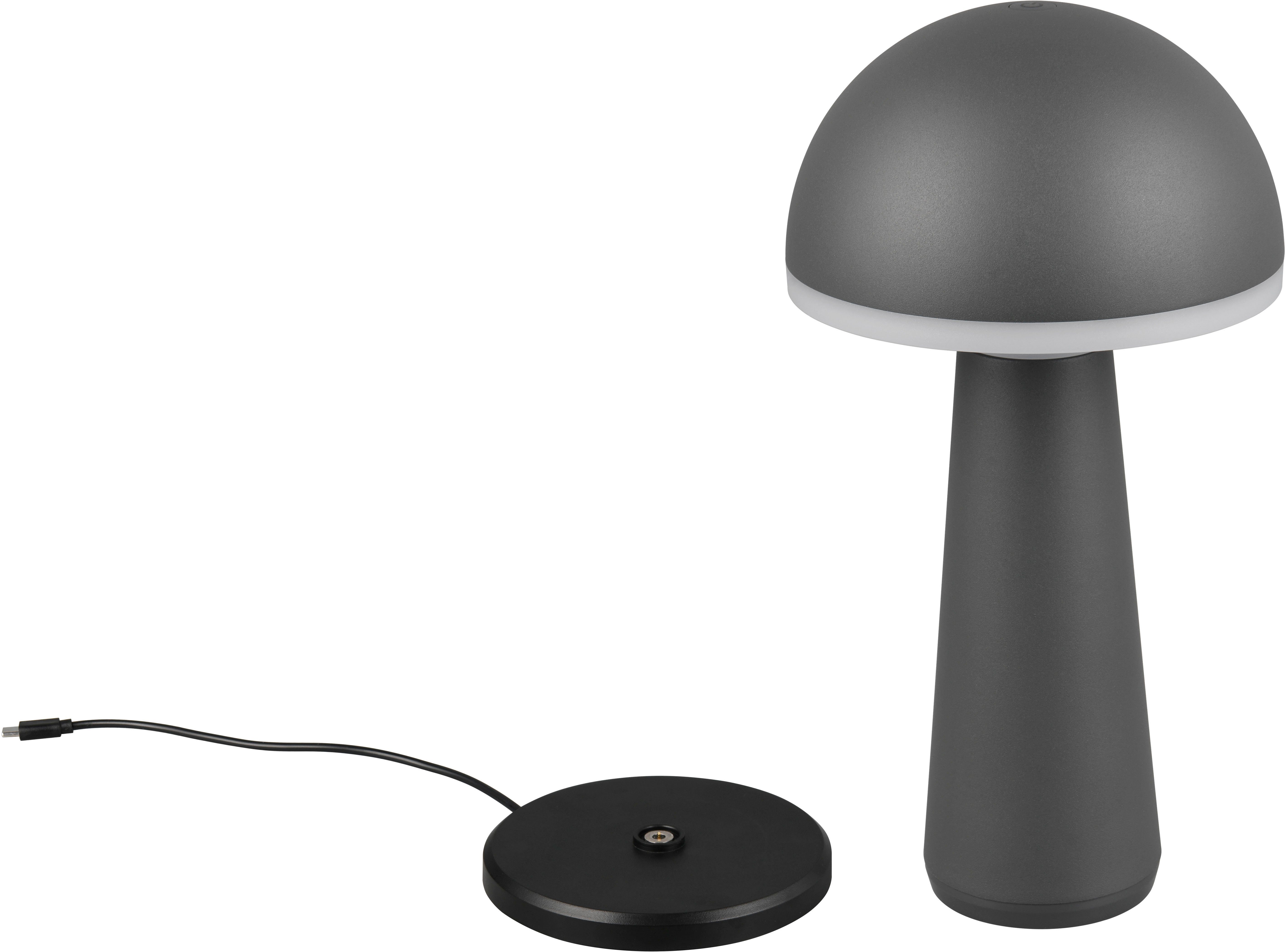 Reality Leuchten LED Außen-Tischleuchte FUNGO, Dimmfunktion, günstig online kaufen