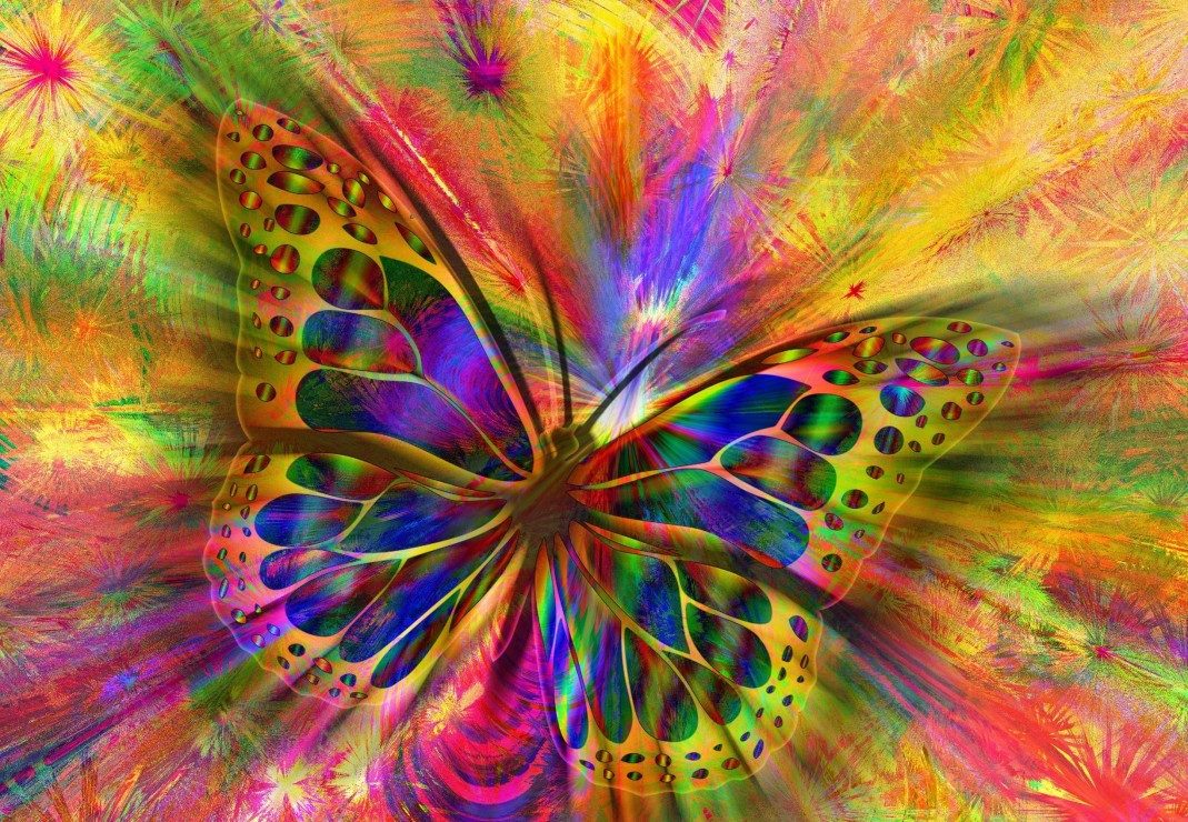 Bluebird Puzzle Puzzle Colorful Butterfly, Puzzleteile