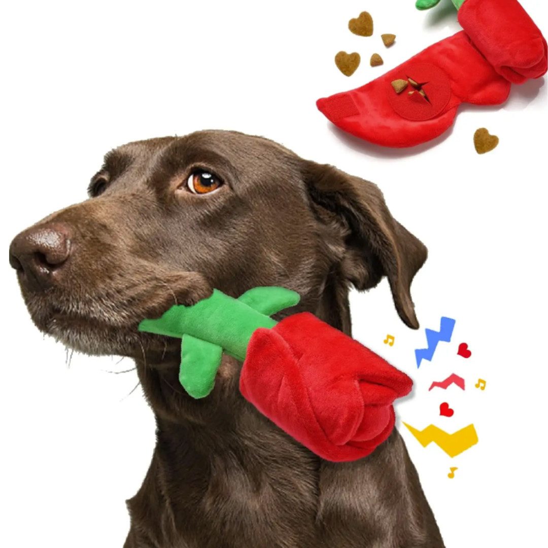 Schnüffelteppich RaxRoyal Schnüffelteppich Hund Rose rot hundeartikel schnüffelmatte