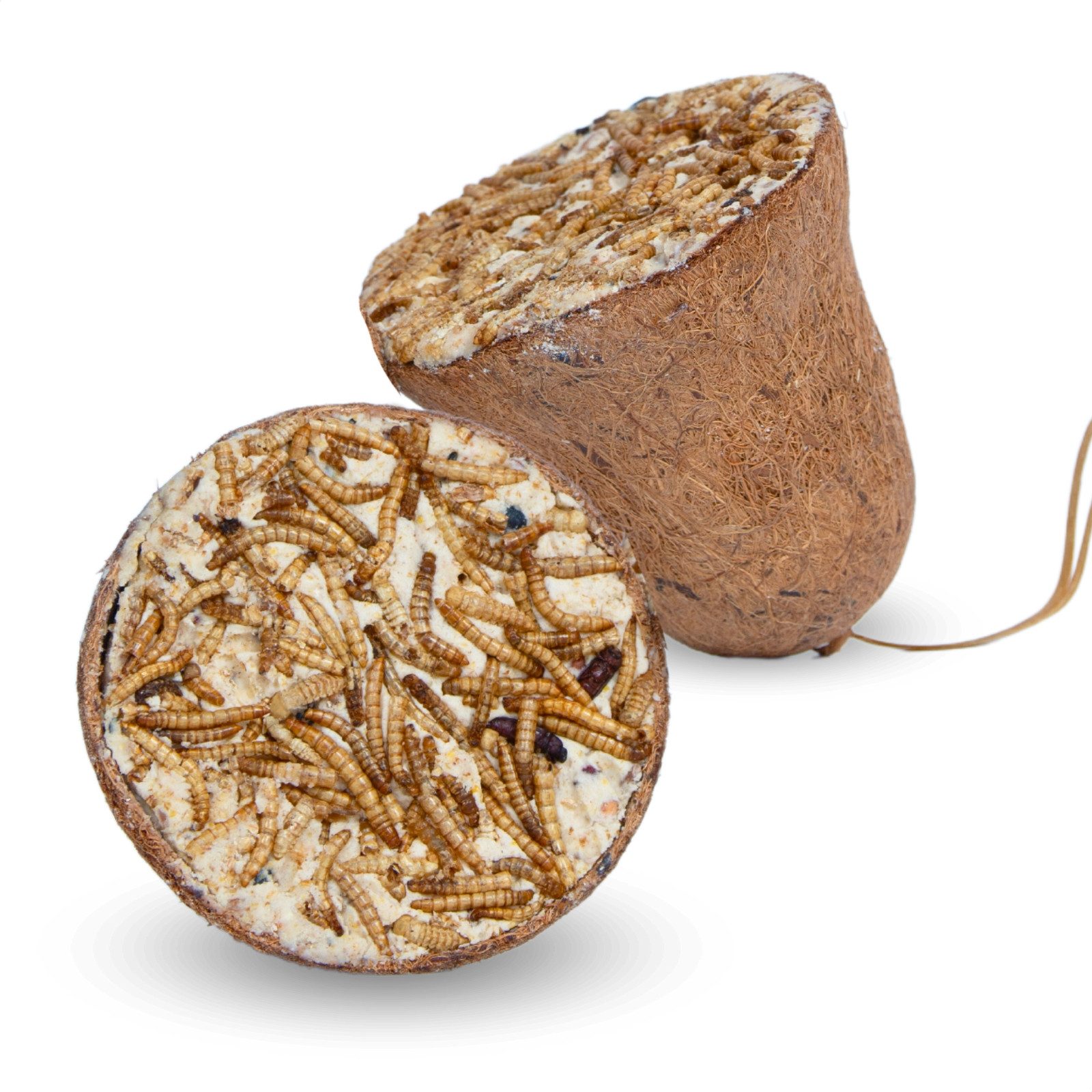 Lyra Pet 3 x 8 Stk. Lyra Pet® Protein Boost Futterglocke mit Mehlwürmern, Spezialitäten für: Wildvogel