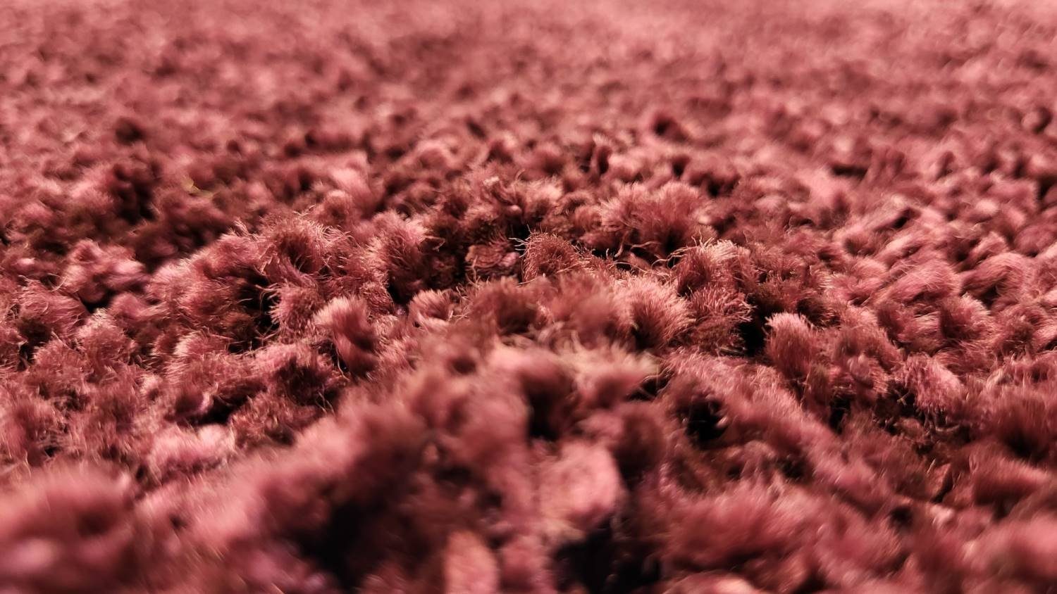 Rug Studios Teppich FERRO, Rechteckig, Höhe: 35 mm, Wohnzimmer, 200 x 200 cm, Purple