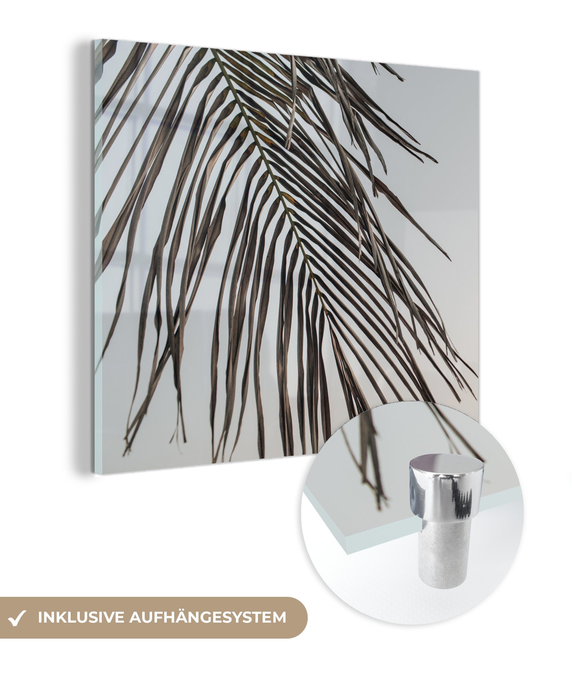 MuchoWow Acrylglasbild Sommer - Blatt - Palme, (1 St), Glasbilder - Bilder auf Glas Wandbild - Foto auf Glas - Wanddekoration
