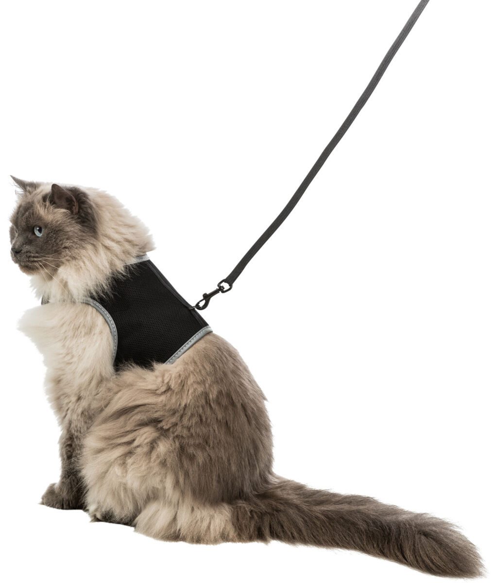 TRIXIE Katzen-Geschirr Softgeschirr XXL mit Leine - schwarz