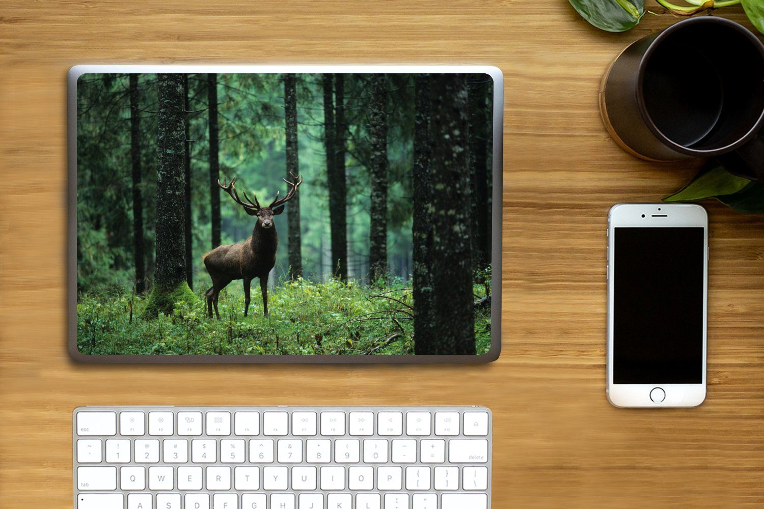 Thumbnail - MuchoWow Laptop-Aufkleber Hirsche - Wald - Bäume - Tiere - Natur