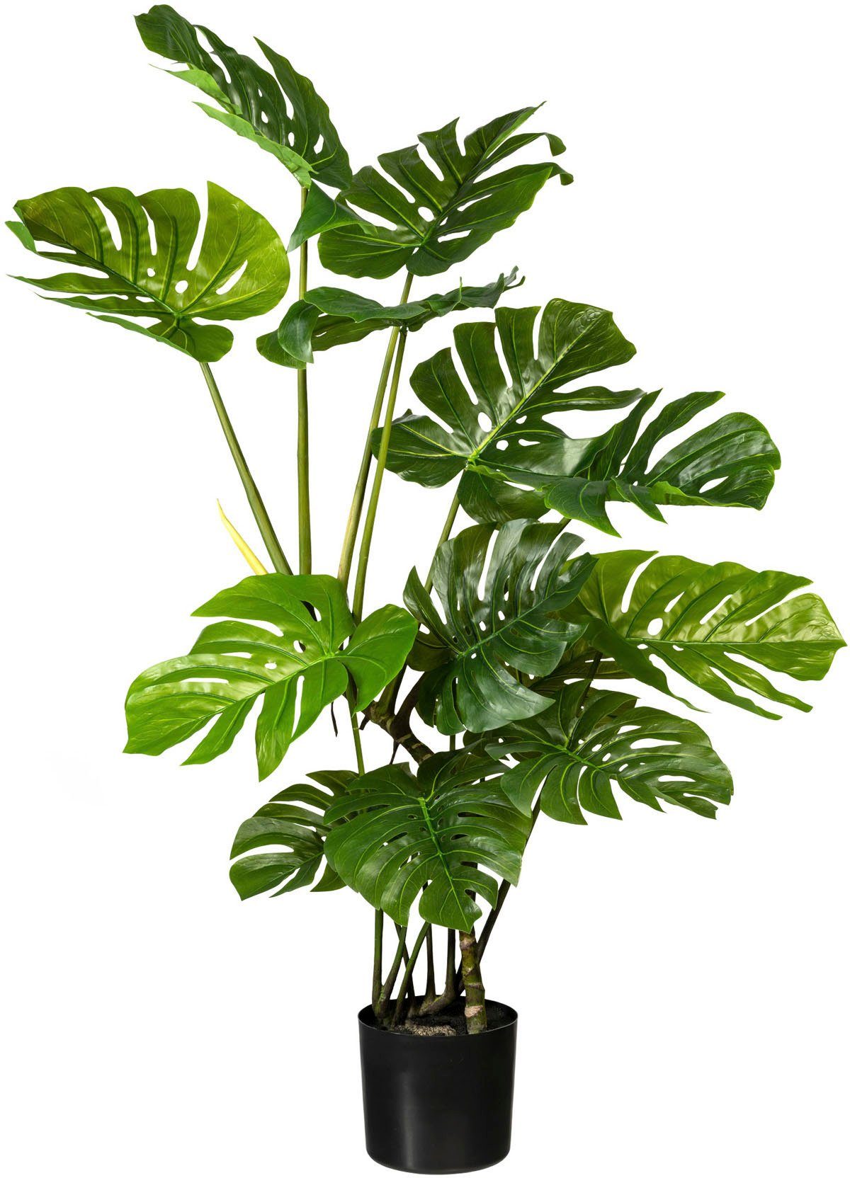 Künstliche Zimmerpflanze »Splitphilodendron« Splitphilodendron, Creativ  green, Höhe 130 cm