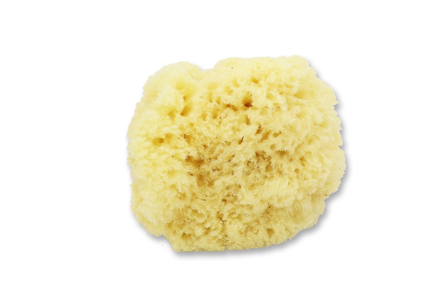 Gerlinde Hofer _ Florex GmbH Hautpflegeschwamm Levantiner, Badeschwamm Babyschwamm extra weich Ø 12 cm