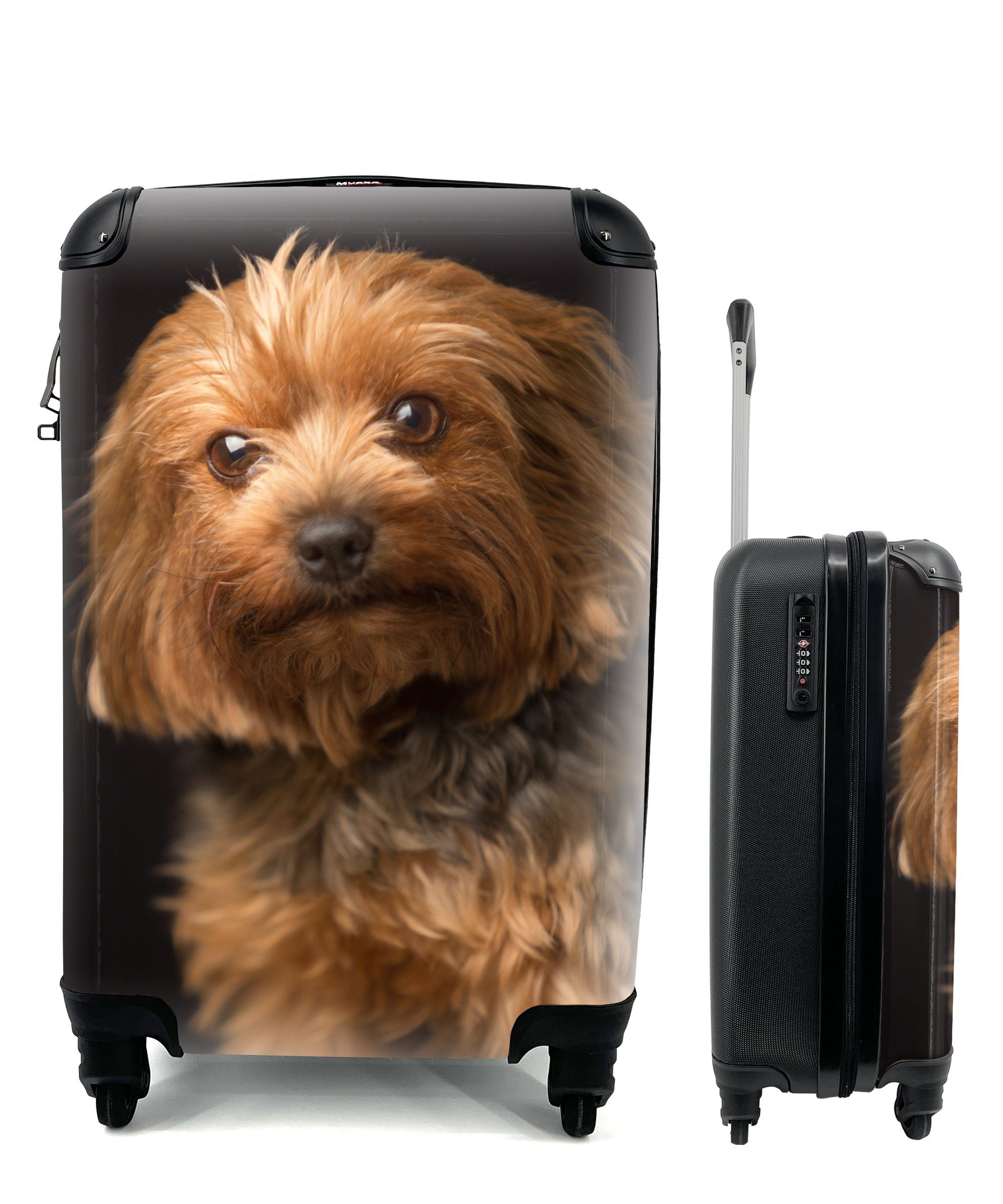 MuchoWow Handgepäckkoffer Porträt eines goldbraunen Yorkshire Terriers, 4 Rollen, Reisetasche mit rollen, Handgepäck für Ferien, Trolley, Reisekoffer