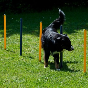 Schecker Agility-Slalom Dog Agility Starter Set, Kunststoff, (7-tlg)