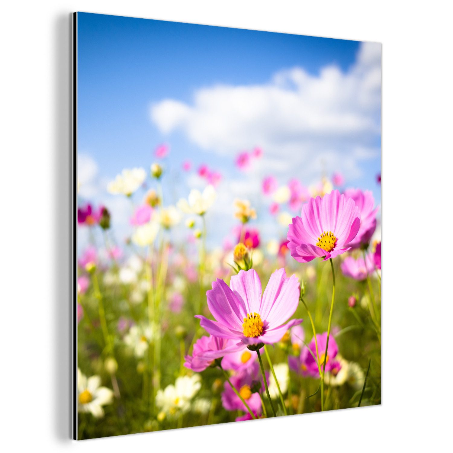 MuchoWow Metallbild Blumen - Wiese - Lila - Gras - Weiß - Wolken - Blau, Inkl. Aufhängung, Alu-Dibond-Druck, Wandbild aus Metall, Aluminium deko, 20x20 cm