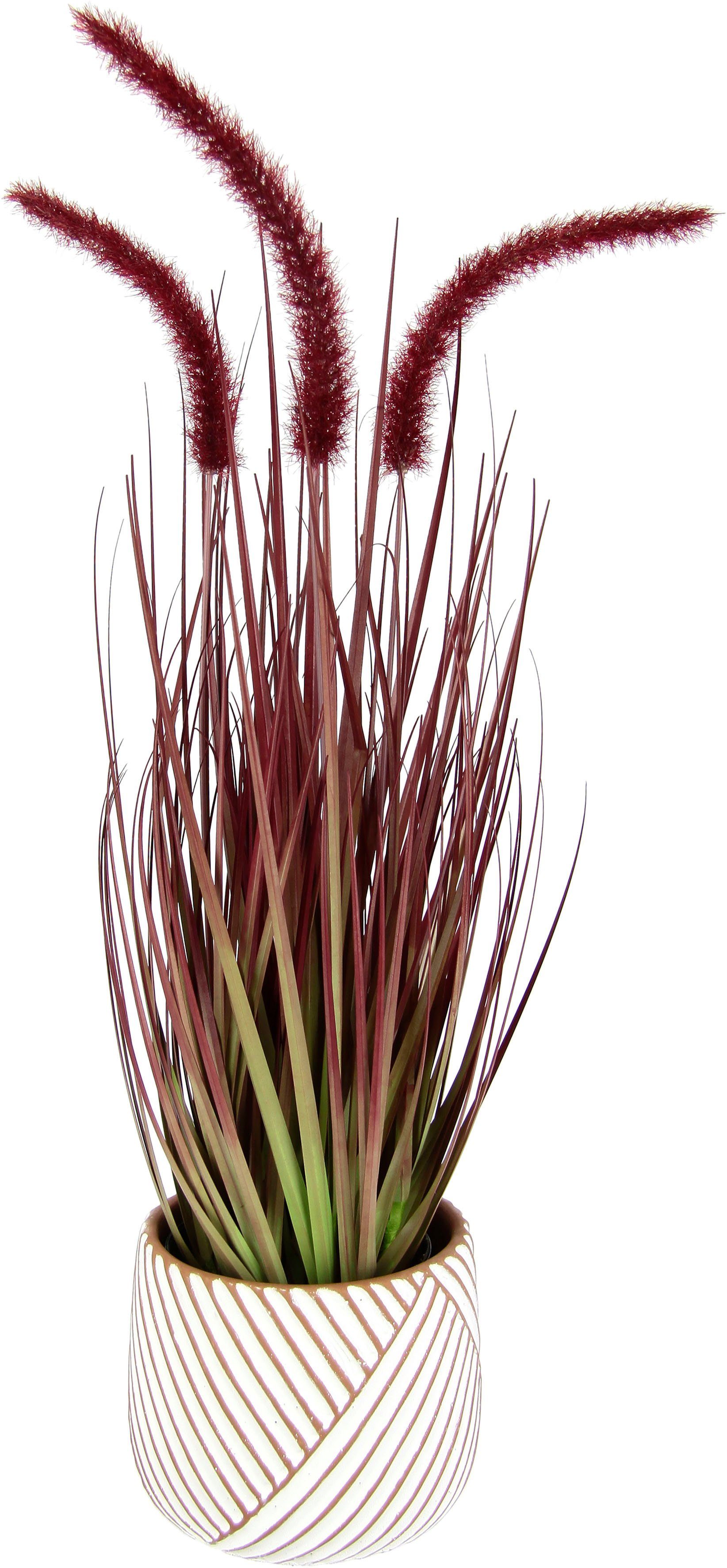 Kunstpflanze Fuchsschwanzgras, I.GE.A., Höhe 53 cm, günstig online kaufen