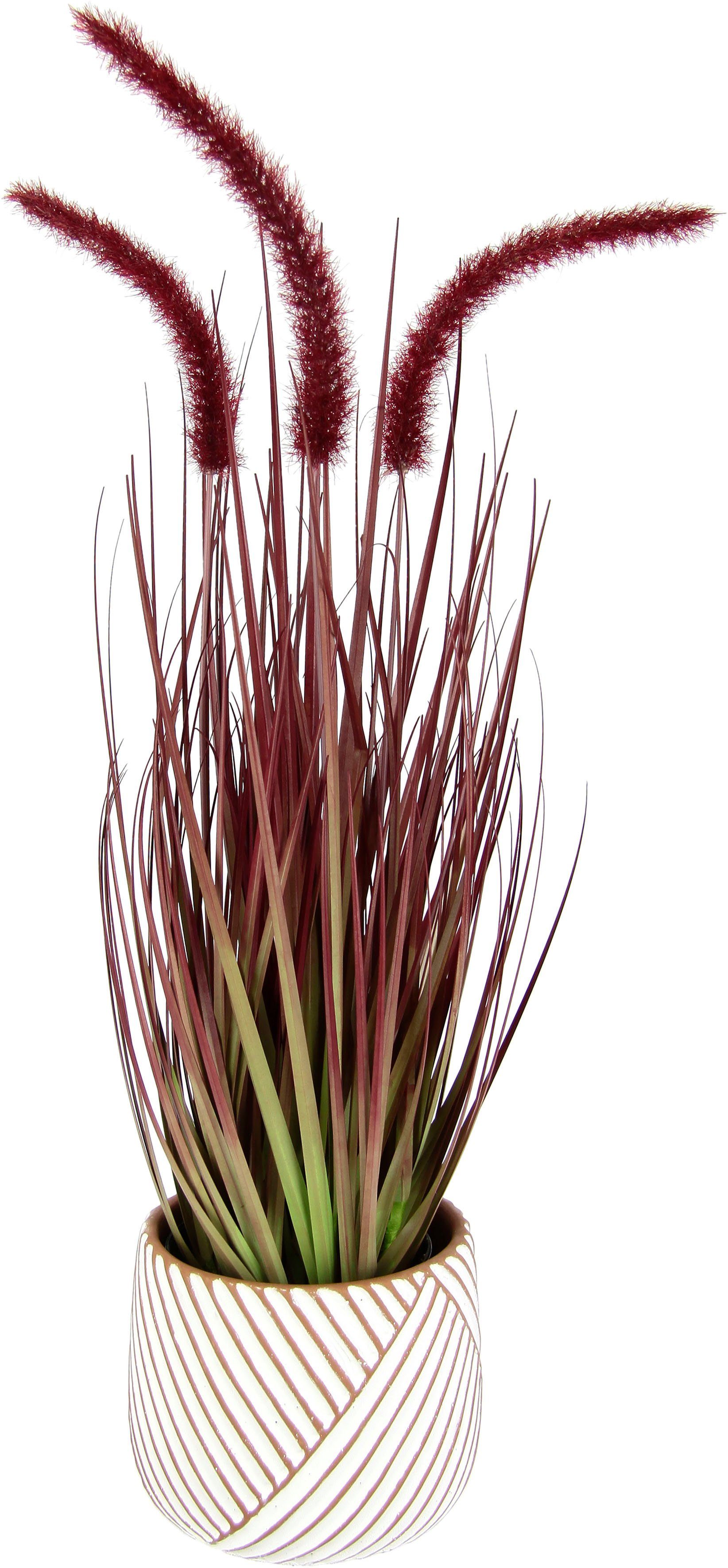 Kunstpflanze Fuchsschwanzgras, I.GE.A., Höhe 53 cm, Mit Übertopf Kunstgras  Deko Borstenhirse Panicoideae Setaria