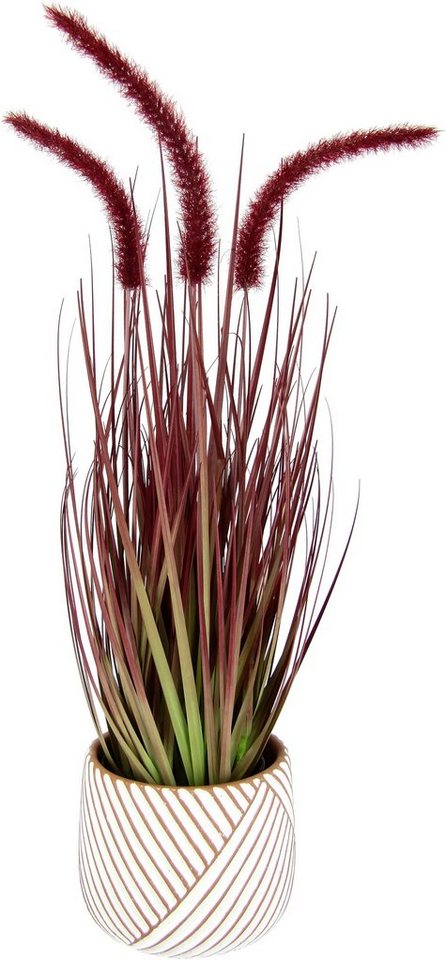 Kunstpflanze Fuchsschwanzgras, I.GE.A., Höhe 53 cm, Mit Übertopf Kunstgras  Deko Borstenhirse Panicoideae Setaria